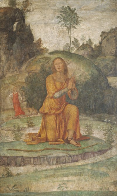 La preghiera di Procri a Diana da Bernardino Luini