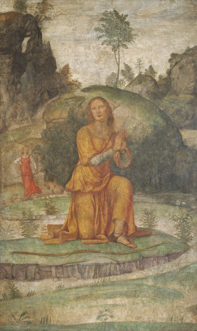 Preghiera di Procri a Diana, ca. 1520-1522 da Bernardino Luini