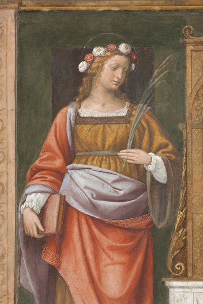 Santa Rosa (dettaglio) da Bernardino Luini