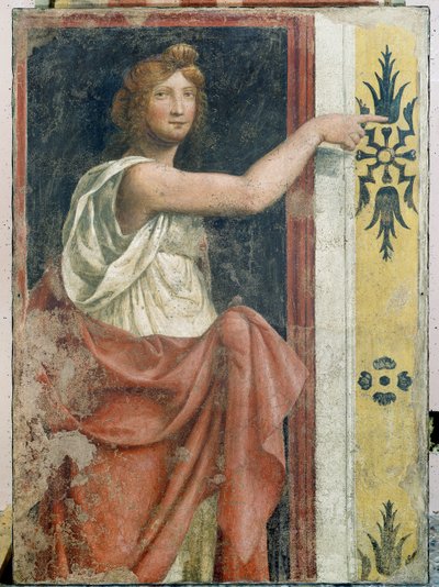 Sibilla da Bernardino Luini