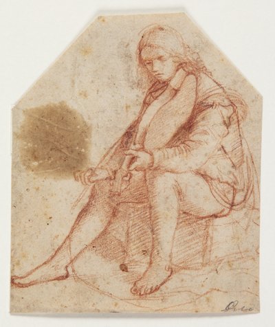 Giovane seduto con viola da Bernardino Luini