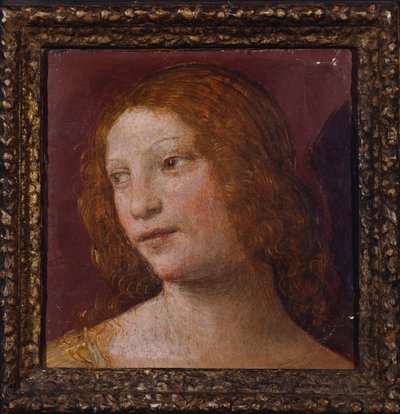La testa di un angelo (frammento) da Bernardino Luini