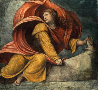 Il ratto di Europa da Bernardino Luini