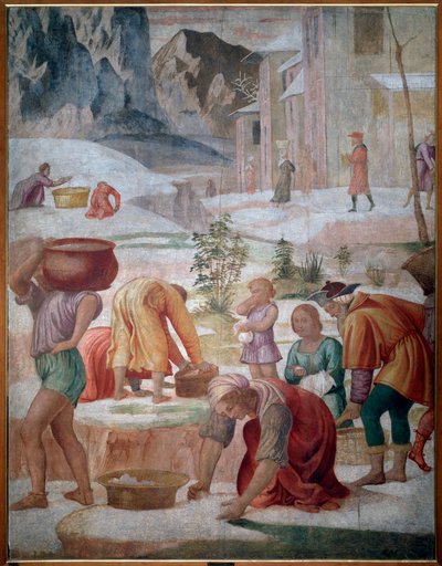 La raccolta della manna, israeliti nel deserto da Bernardino Luini