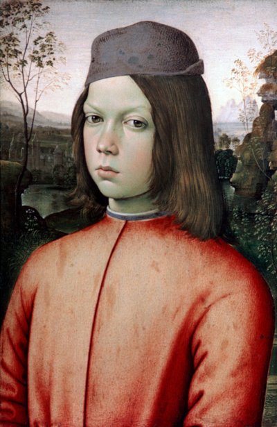 Ritratto di un ragazzo da Bernardino Pinturicchio