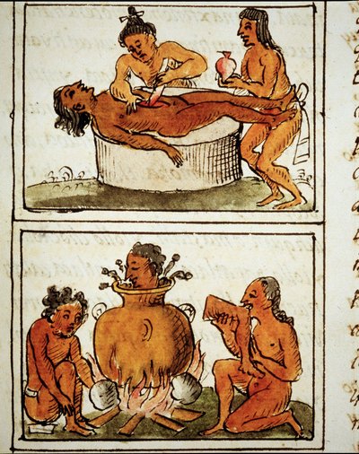 Sacrificio umano e cannibalismo degli Aztechi. Manoscritto di Bernardino Sahagun da Bernardino de Sahagun