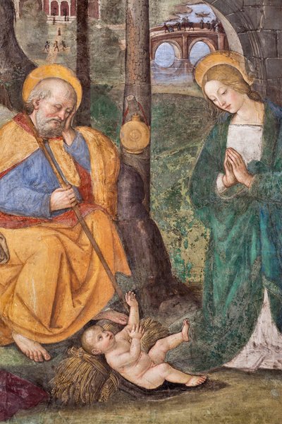 Adorazione dei pastori (dettaglio) (affresco di Pinturicchio, Bernardino di Betto, 1454-1513, 1484-1492, Chiesa di Santa Maria del Popolo, Basilica di Santa Maria del Popolo, Cappella Basso della Rovere, Roma, Italia) da Bernardino di Betto Pinturicchio