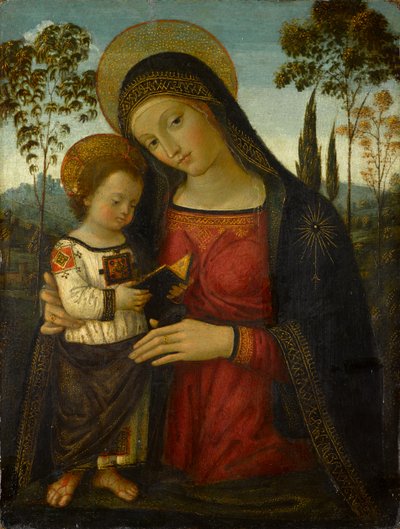 Madonna con Bambino da Bernardino di Betto Pinturicchio