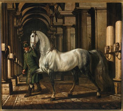  da Bernardo Bellotto