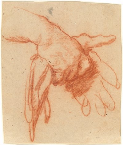 Una mano che tiene guanti vuoti da Bernardo Strozzi