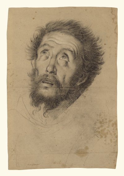 Testa di San Francesco (recto); Studi di testa di San Francesco, testa di vecchio e due mani destre (verso) da Bernardo Strozzi