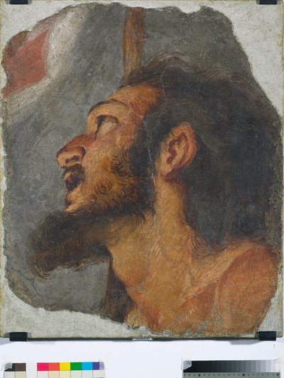 Testa di San Giovanni Battista, frammento di affresco staccato da Bernardo Strozzi