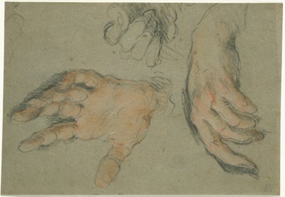 Studio di Tre Mani da Bernardo Strozzi