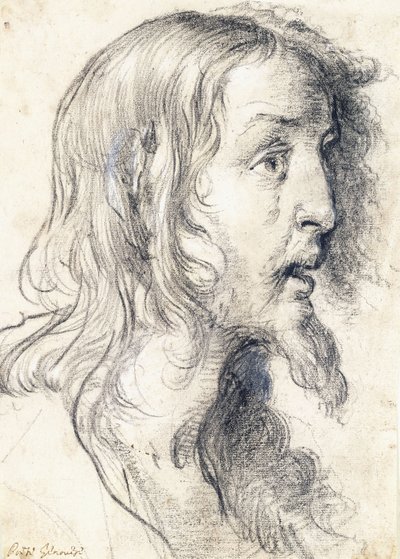 La Testa di Cristo di Profilo a Destra da Bernardo Strozzi