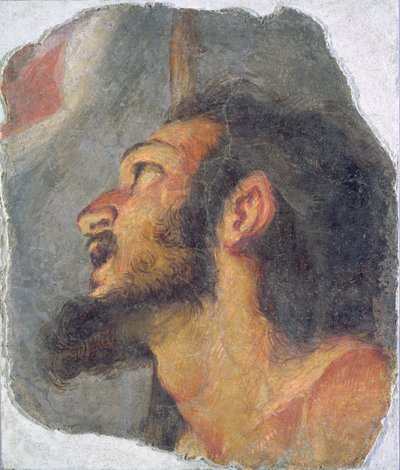 La testa di San Giovanni Battista (frammento) da Bernardo Strozzi