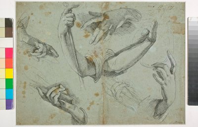 Immagine Sconosciuta da Bernardo Strozzi