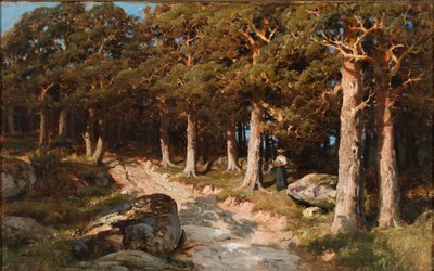Donna nel bosco da Berndt Lindholm