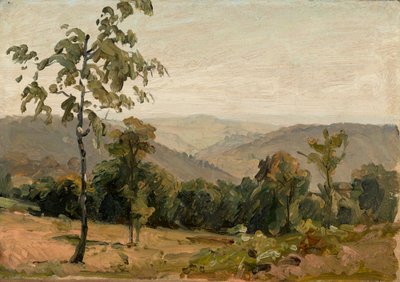 Vista sui monti del Neckar presso Heidelberg da Bernhard Fries