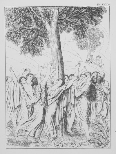 La Divina Commedia di Dante, Purgatorio, Tavola XXXIII da Bernhard Schuler