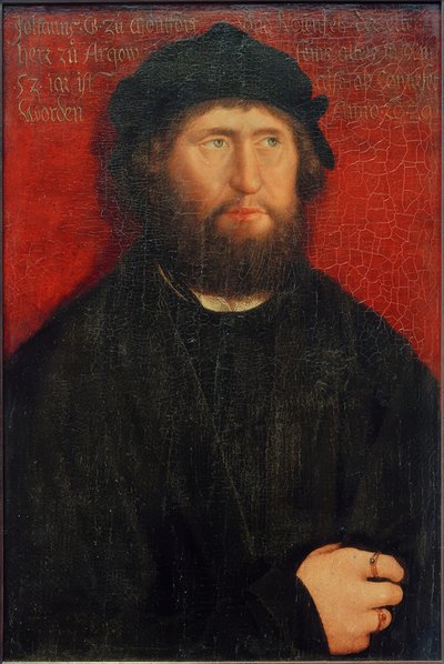 Ritratto di Giovanni I, Conte di Montfort-Rothenfels da Bernhard Strigel
