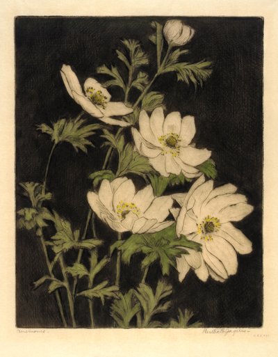 Anemoni da Bertha E. Jaques