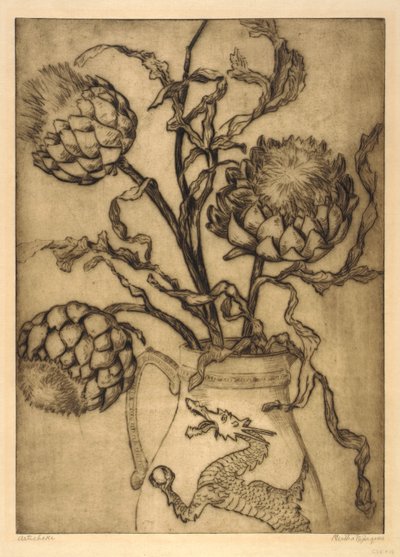 Carciofo da Bertha E. Jaques