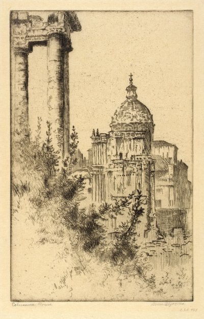 Colonne, Foro Romano da Bertha E. Jaques
