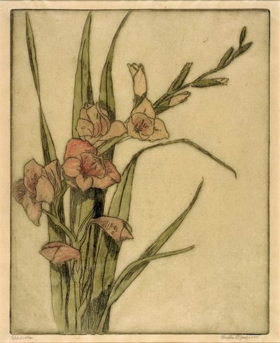 Gladiola da Bertha E. Jaques