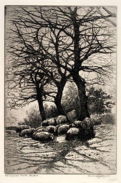 Hampstead Heath, Londra da Bertha E. Jaques