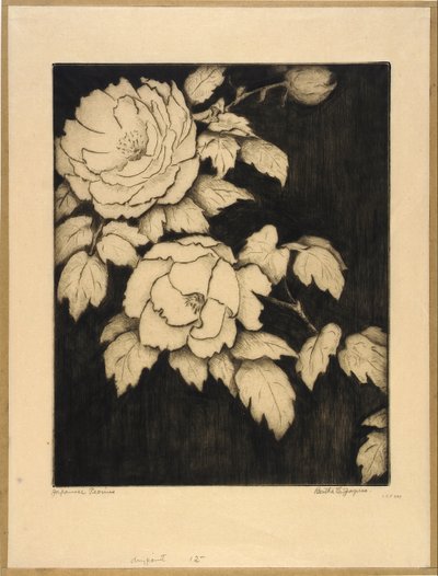 Peonie giapponesi da Bertha E. Jaques