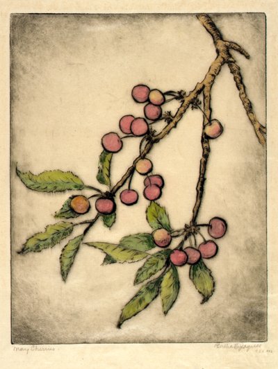 Ciliegie di maggio da Bertha E. Jaques