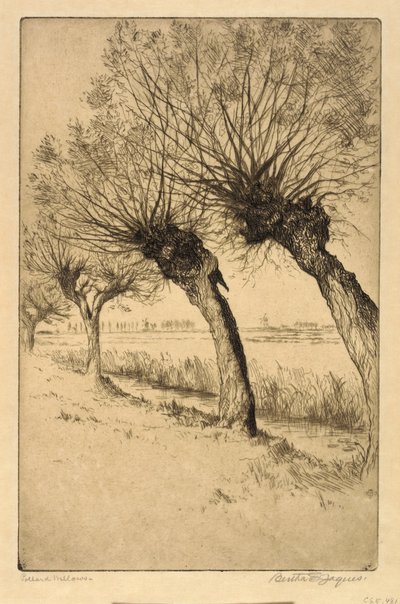 Salici di Pollard, Rijsord, Olanda da Bertha E. Jaques