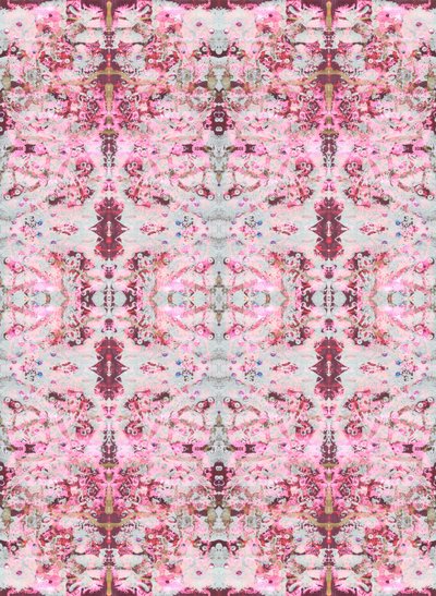 Burgandy Rose, 2015 (tecnica mista, illustrazione, digitale) da Beth Travers