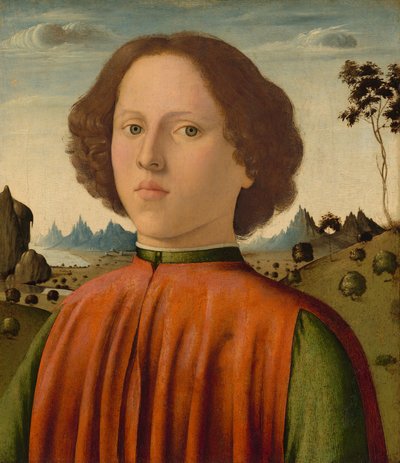 Ritratto di un ragazzo, c. 1476-1480 da Biagio d