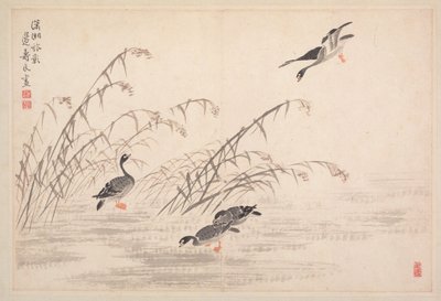 Album di Calligrafia e Dipinti da Bian Shoumin