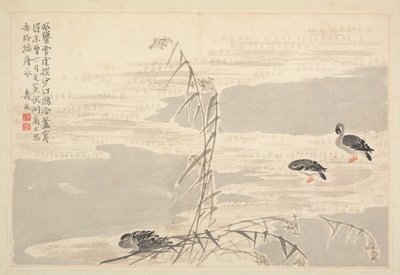 Album di Calligrafia e Dipinti da Bian Shoumin