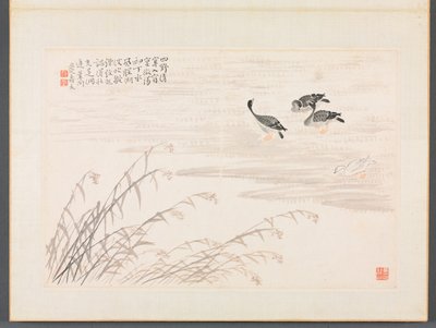 Album di Calligrafia e Dipinti da Bian Shoumin