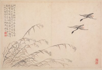 Album di calligrafia e dipinti, XVIII secolo da Bian Shoumin