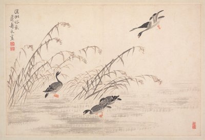 Album di calligrafia e dipinti da Bian Shoumin