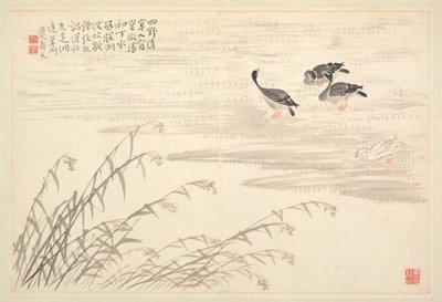 Album di calligrafia e dipinti, XVIII secolo da Bian Shoumin