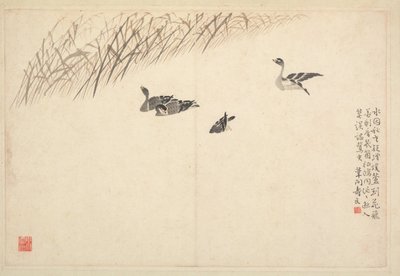 Album di calligrafia e dipinti, XVIII secolo da Bian Shoumin