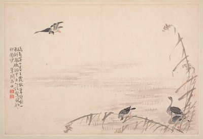 Album di calligrafia e dipinti, XVIII secolo da Bian Shoumin