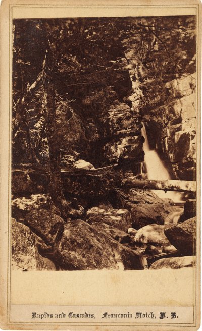 Rapide e cascate, Franconia Notch, New Hampshire da Bierstadt Brothers