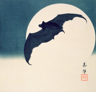 Pipistrello e luna piena da Biho Takashi or Takahashi (b. 1873. fl 1890 1930)