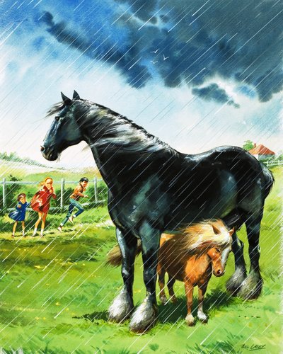 Puledro al riparo dal maltempo sotto un altro cavallo da Bill Lacey