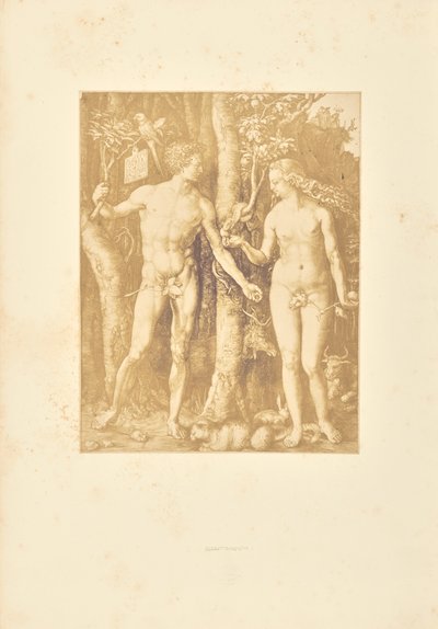 Adamo ed Eva da Bisson Frères