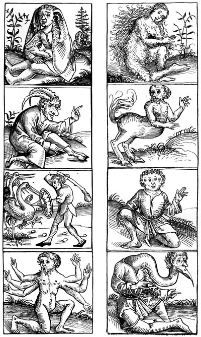 Credenze e superstizioni popolari, 1493 1849 da Bisson and Cottard