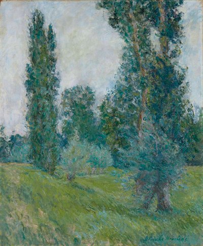 Francese: Paesaggio di pioppi a Giverny da Blanche Hoschede Monet