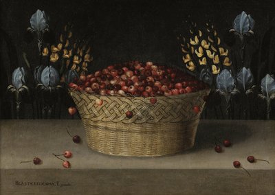 Natura morta con ciliegie, lupino e iris, c.1610 da Blas de Ledesma