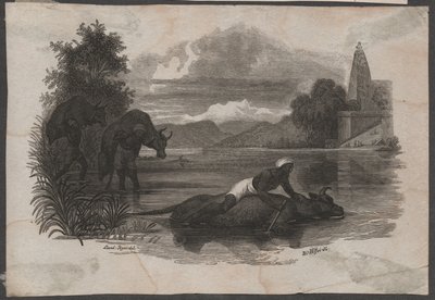 Contadini che trasportano bestiame morto, ca. 1850 (incisione) da Blasius Höfel